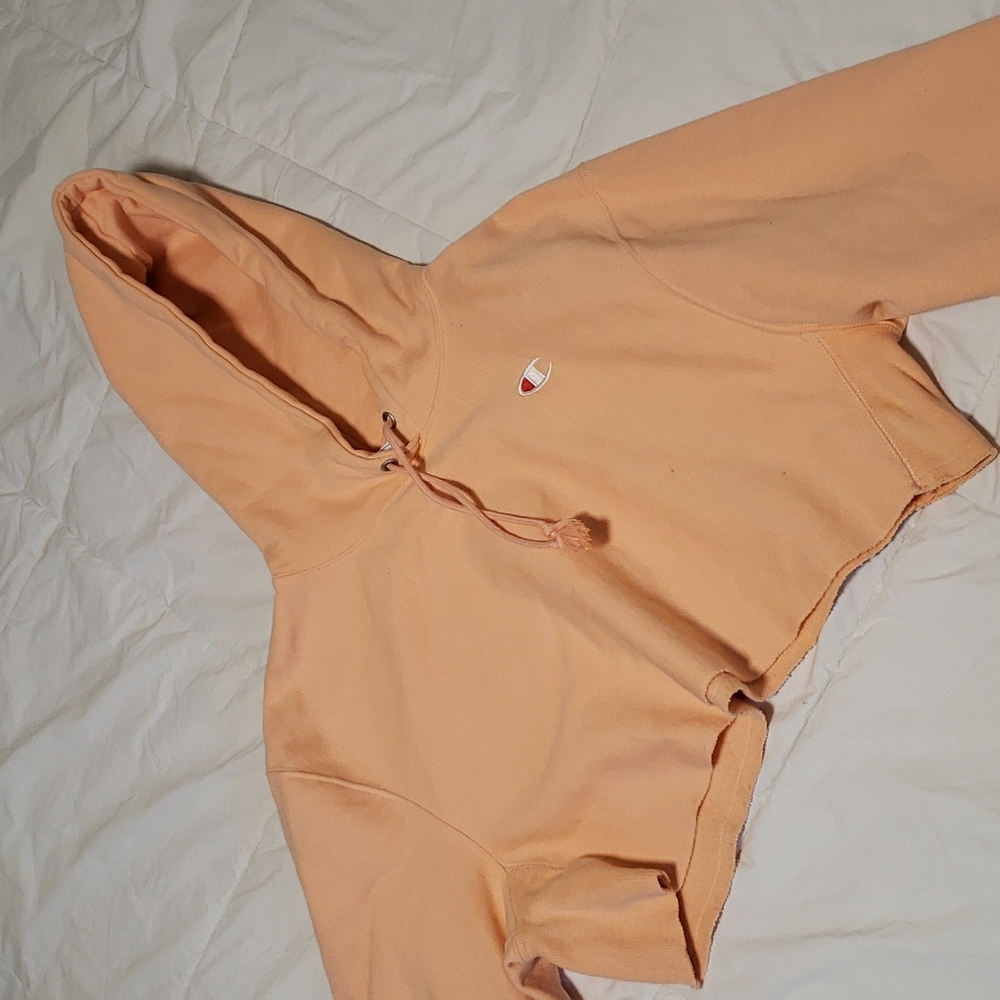 Champion cropped hoodie